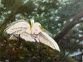 Together, original