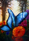 Morphos Aglow, 8x10 paper print